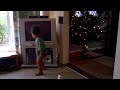 Enjoying Putumayo French Playground for Kids (on Vado HD)