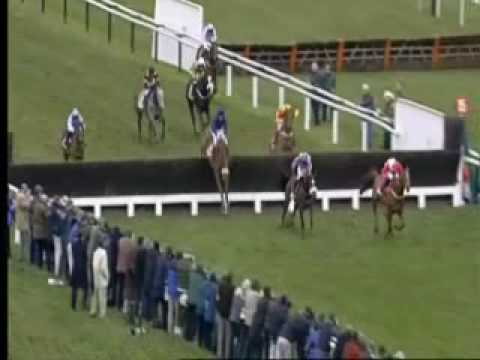 cheltenham today cheltenham today