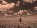Oh Bury Me Not - Sarah Harmer