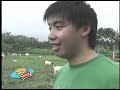 Alaminos Goat Farm