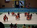 tigres espiguitas camp