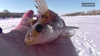 рыбалка на горе море вчера и сегодня 2017 видео рыбалка на горе море вчера и сегодня 2017 видео