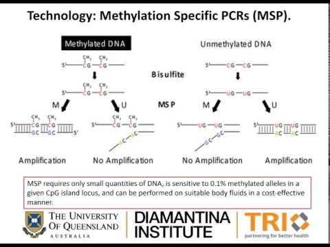 Video Abstract: “MED15 methylation in head and neck cancers”