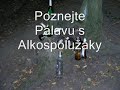 Pozv�nka na alkov�let