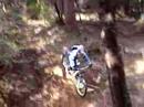 trial  en palamos