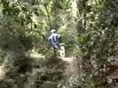 trial  en palamos