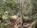 trial  en palamos