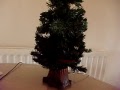 DOUGY FIR