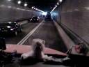 Penn  double tunnel