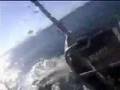 Great White Shark Attack