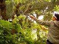 Giardinaggio bis
