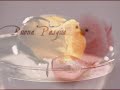 AUGURI AUGURI