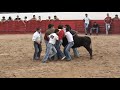 Pega excelente