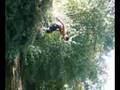 saut dans la riviere