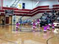 Prescott JV Dance Team POMS
