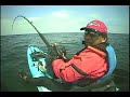 Summer Time Fishing for Yellow Tail