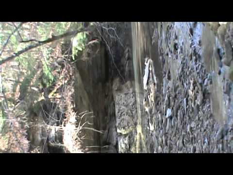 351 acres Beattyville, KY