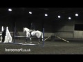 How to train a horse at home & warm up at competition.mp4