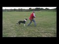 Xeni und Holly - Discdogging - 3. Film