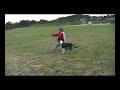 Xeni und Holly - Discdogging - 3. Film