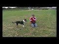 Xeni und Holly - Discdogging - 3. Film