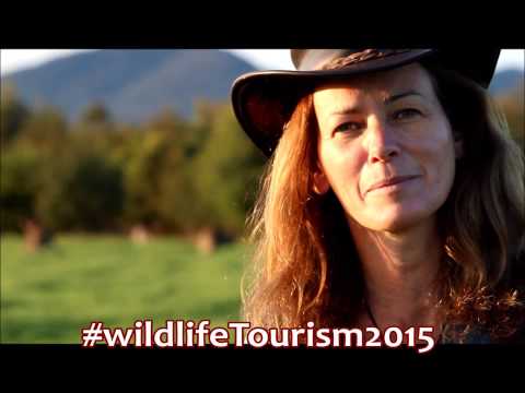 Why attending the Wildlife Tourism Conference could double your business