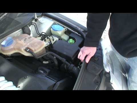 Blauparts Explains How To Locate Audi Oil Leaks and Vw Oil Leaks