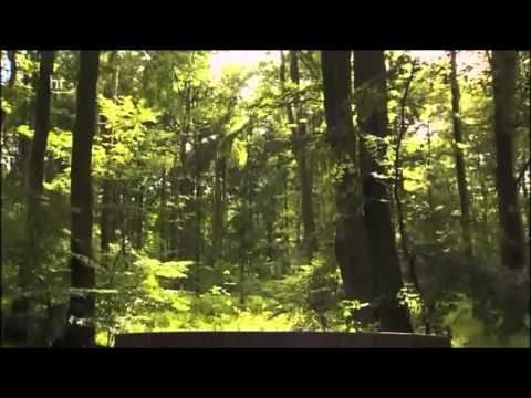 Der Naturpark Habichtswald: Von Märchen Mystik und ...