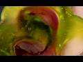 MARILYN MINTER official trailer for Green Pink Caviar
