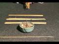 Clients - RAI: 2008 I-Ching Augury Ad