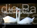 Mojoj Ljubavi - Divlje Jagode
