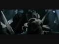 THE COVENANT - The Covenant - Steven Strait - Flixster Video