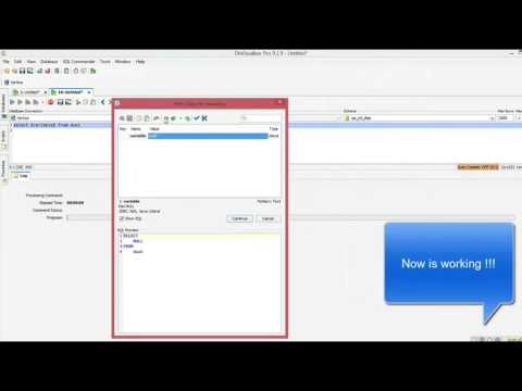 How to work with parameters in HP Vertica Database and DbVizualiser