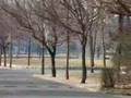 the panorama of Shenyang University of Techn…