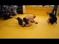 MMA Berlin #16 Francisco Olliver 1 2