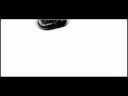 metaphase metaphase