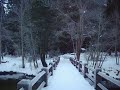YNP- YNP-