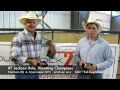 Jackson Hole, Wyoming  ROUGHSTOCK2ROPING Team Roping  June 27-28,2009