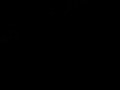 003.MOV