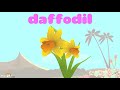 Learn About Flowers  2 - Interactive Learning Videos