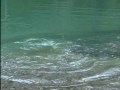 Steelhead fishing.mpg