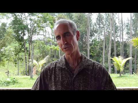 how to cure ms with diet