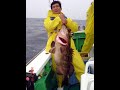 2008/06/11銭洲 巨大カンパチを追って!13日目!モロコ、ヒラマサ
