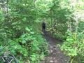 Downhill Bountain Biking @ Sugarloaf Campbellton
