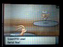 Pokemon D/P Wi-fi Battle 1: Fantindoo (BL/UU)