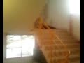 G�g� imite quelqu\