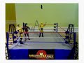 UFW Figamania - Money in the Bank Ladder Match