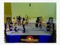 UFW Figamania - Money in the Bank Ladder Match