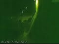 Ghost Fantasma Poltergeist fenomeno paranormale ufo