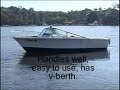 A fun day on Sydney Harbour - in a Bertram Power Boat